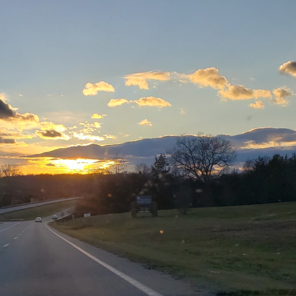 🥳Everything in My Closet💫